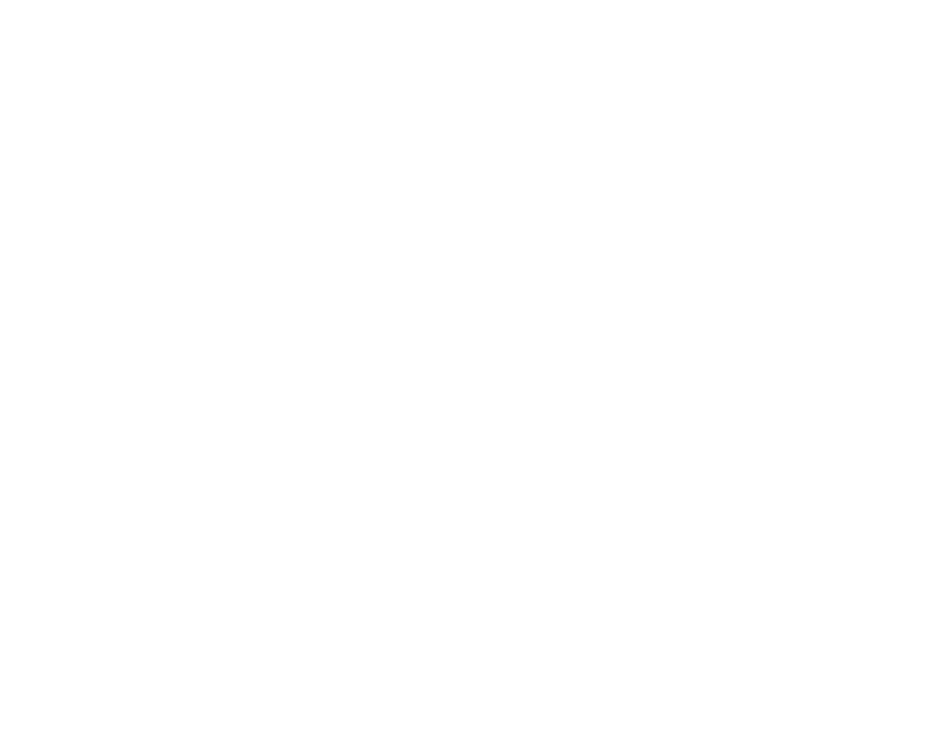 NOKTOA Logo